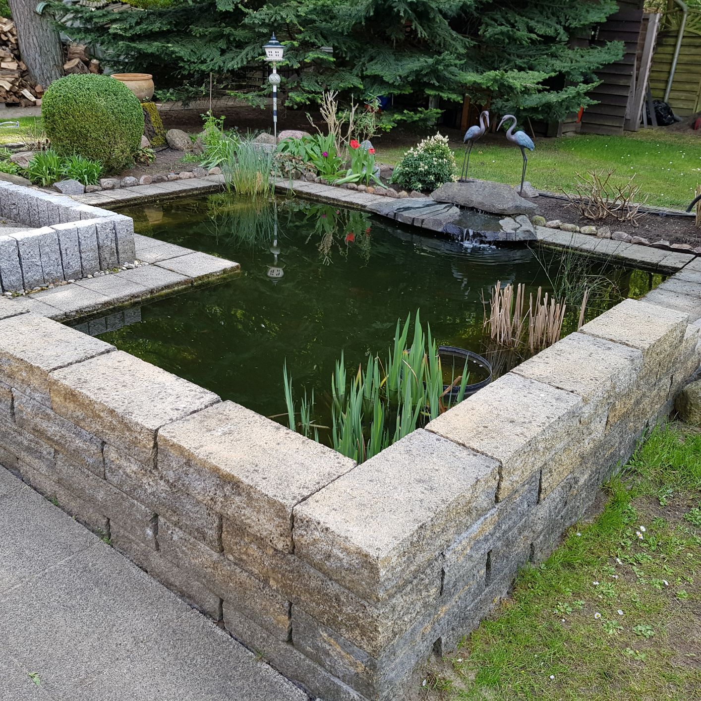 Teichreinigung – klarer Gartenteich mit Fischen
